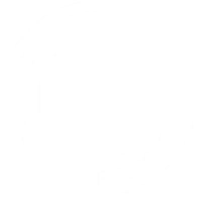 Social Enterprise Logo