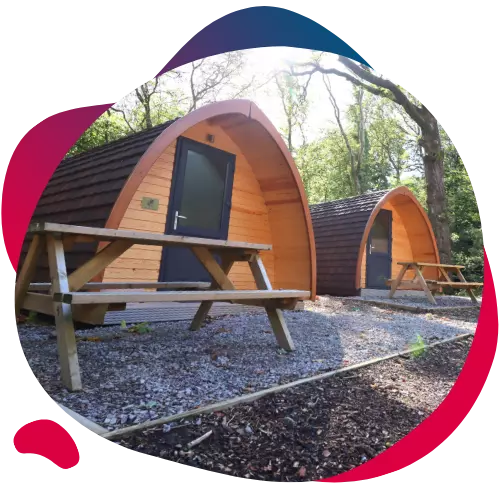 Row of wooden camping pods with picnic benches in a forest setting.