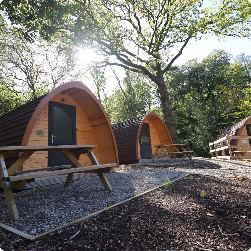 Glamping pods at dusk at Ghyll Head centre.
