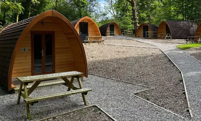 Image of pods in the forest.